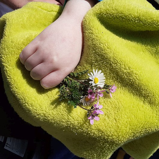 Eine Kinderhand hält einen kleinen Wildblumenstrauß auf einer grünen Kuscheldecke