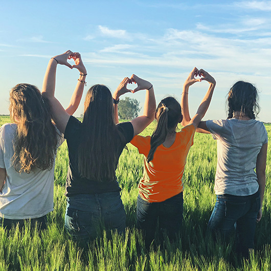 Vier jugendliche Mädchen im Getreidefeld formen mit den Händen Herzsymbole