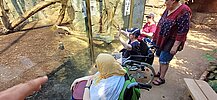 Bewohner:innen der Arche am Margeritenweg vor einem Tiergehege im Frankfurter Zoo