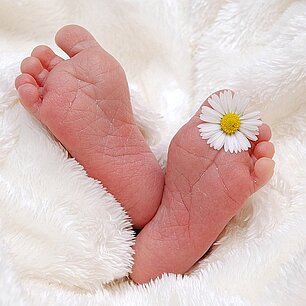 Die Füße eines Kindes mit einer Margarite