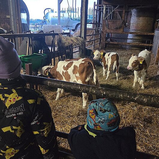 Illustration zu „Ein erlebnisreicher Tag auf dem Bauernhof in Rittersgrün“