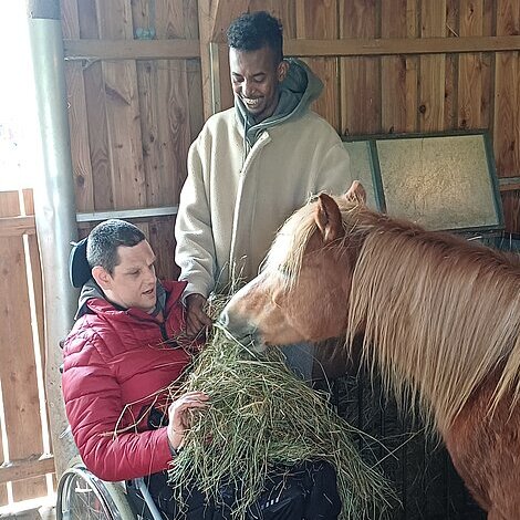 Bewohner füttert Pferd