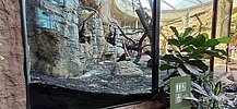 Tiergehege im Frankfurter Zoo