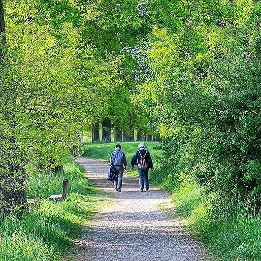 Zwei ältere Menschen bei einem Spaziergang (Foto: Alexander Fox // pixabay)