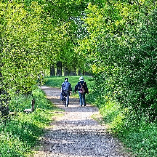 Zwei ältere Menschen bei einem Spaziergang (Foto: Alexander Fox // pixabay)