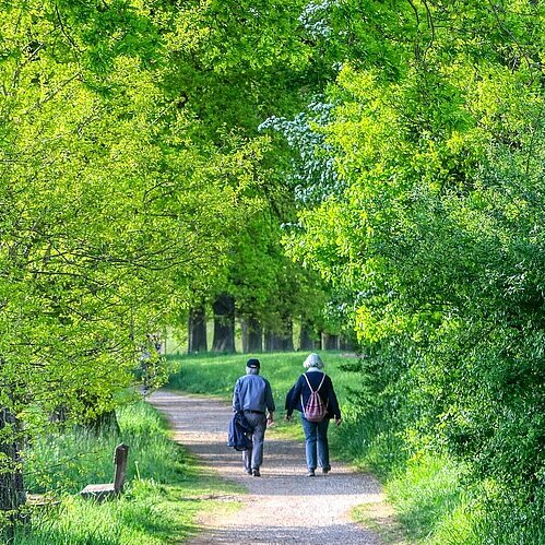 Zwei ältere Menschen bei einem Spaziergang (Foto: Alexander Fox // pixabay)
