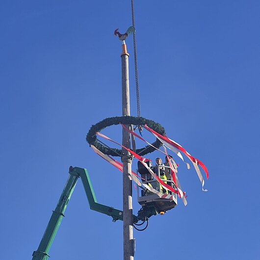 Maibaum wird mit Kran geschmückt