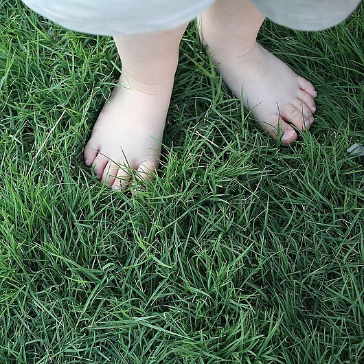 Ein Kind steht barfuß im Gras (Foto: Hal Gatewood // Pixabay)