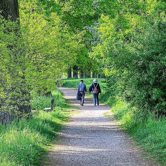 Zwei ältere Menschen bei einem Spaziergang (Foto: Alexander Fox // pixabay)
