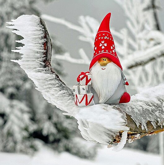 Ein gebastelter Nikolaus auf einem beschneitem Zweig, Foto: Ilona Frey/unsplash